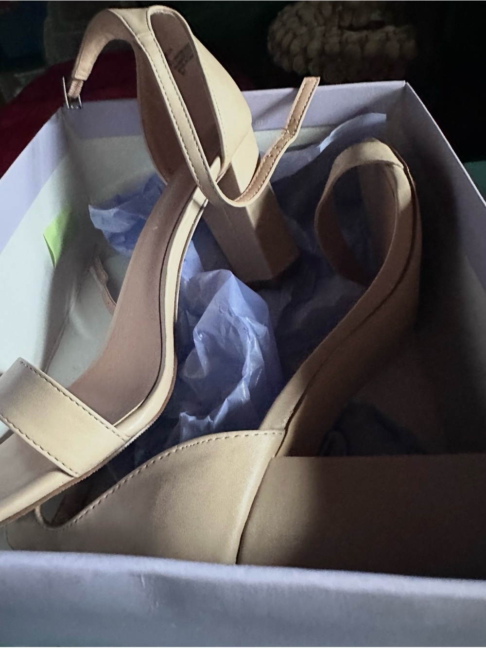 Steve Madden Beige Ankle-Strap Block Heels